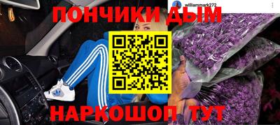 прущие крисы Кингисепп