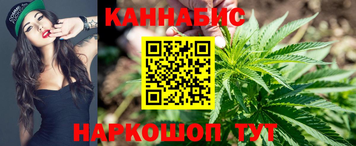 Конопля планчик Красноперекопск